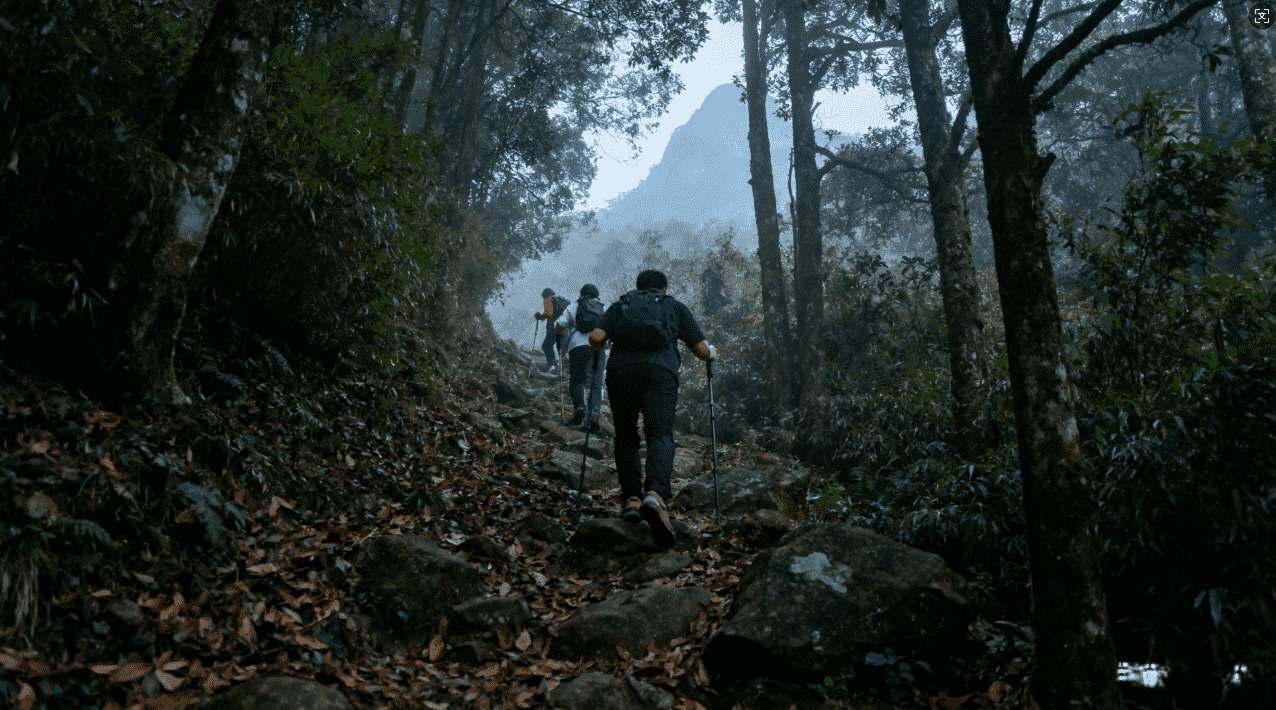 2024年付费VPN哪个App最好用？全面推荐与详细评测