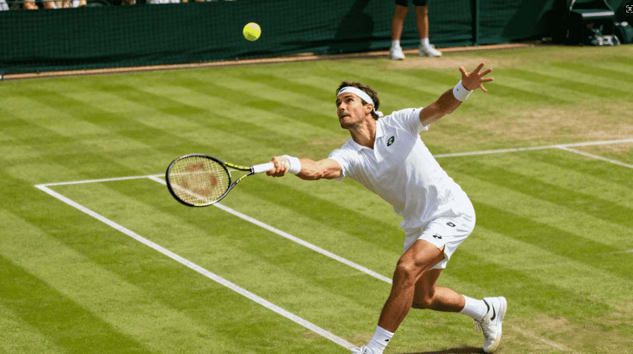 2024年免费、安全稳定且高品质的优质梯子推荐指南合集